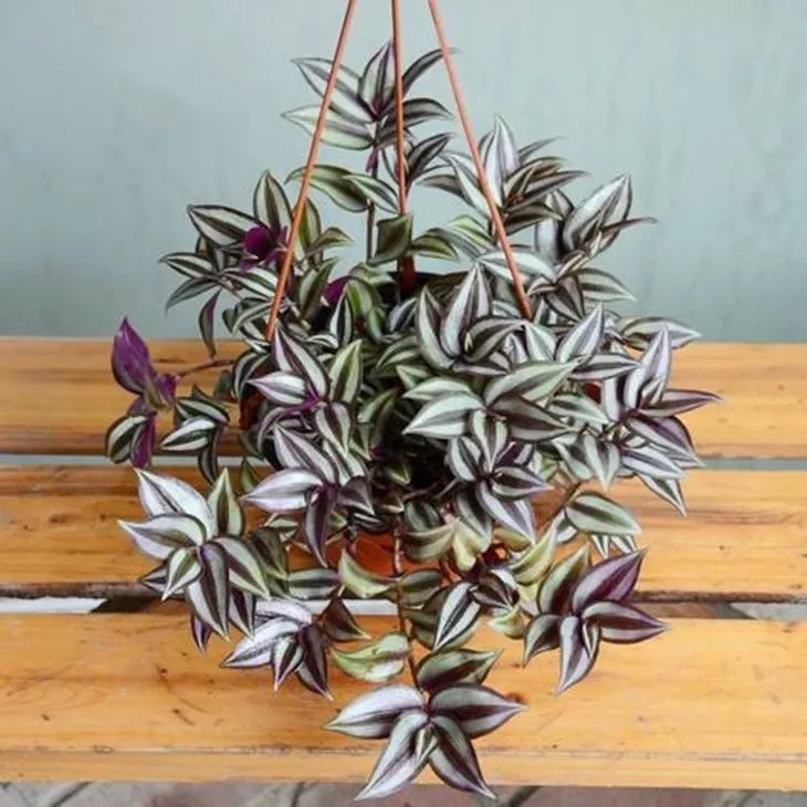 wall hanging pots with artificial plants