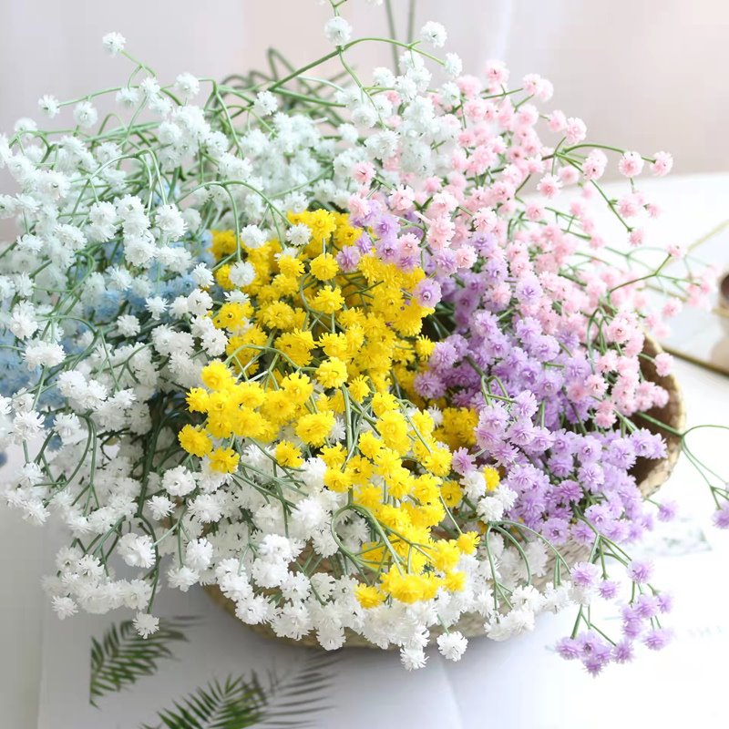 gypsophila flower wedding