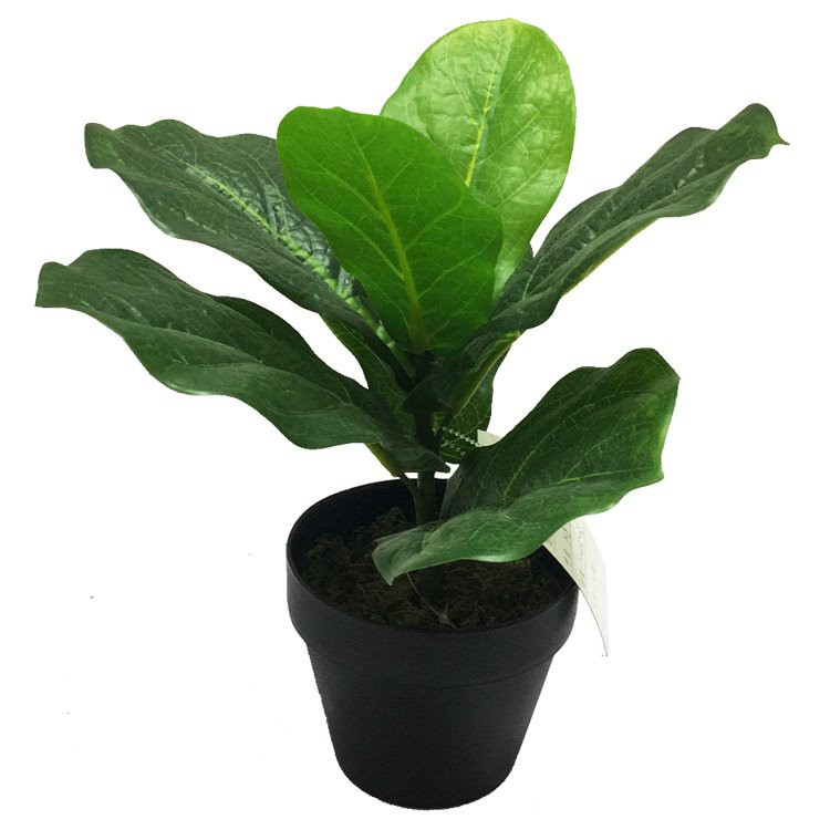 Fashion Plastic Fake Faux Lyrata Plant Artificial Bonsai Fiddle Leaf Fig Tree