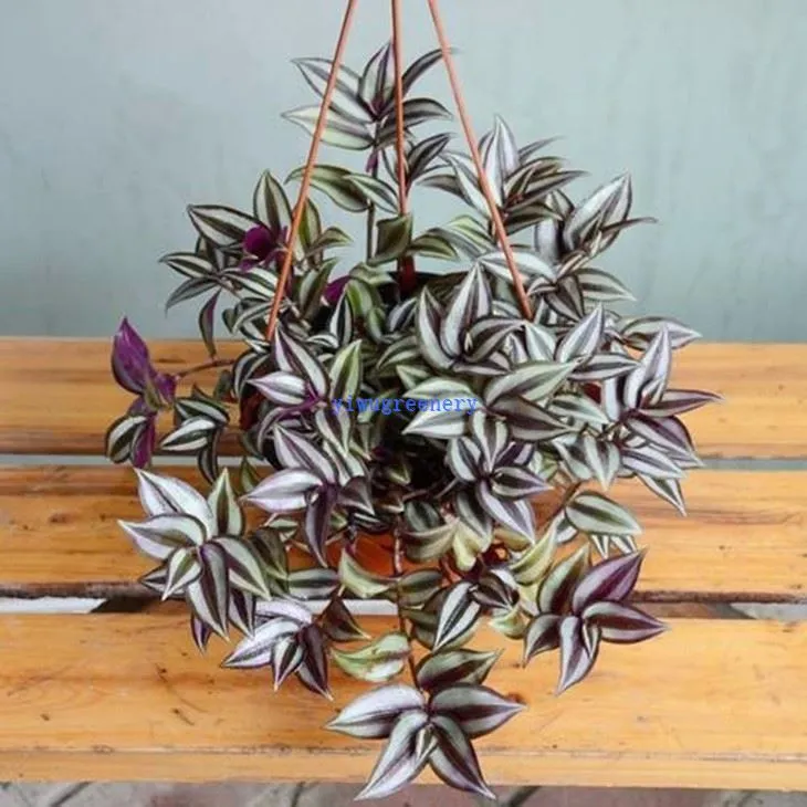 Artificial Wall Hanging Plants