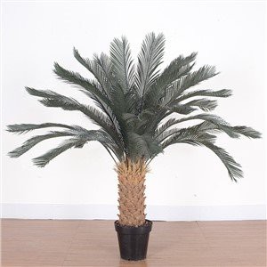 Artificial Cycas Revoluta