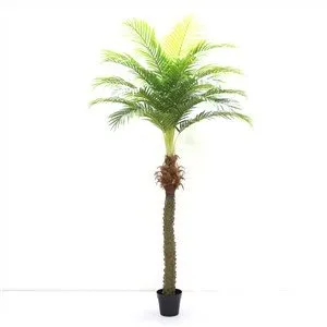 Outdoor Artificial Palm Trees