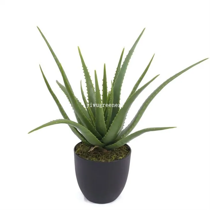 artificial cactus plants for outdoors