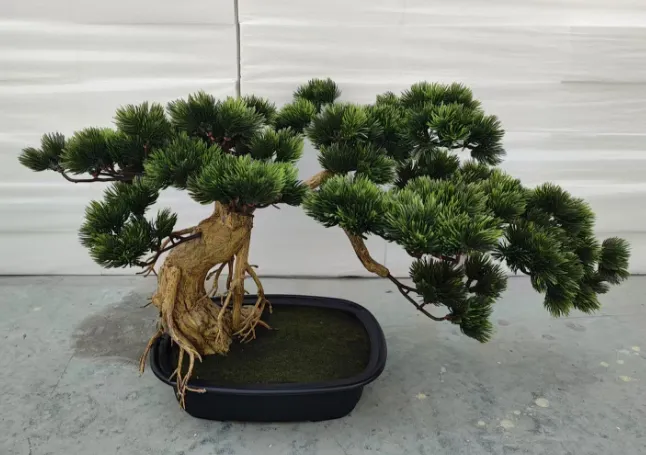 product-646-455 product-646-455